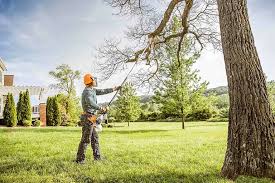 Best Seasonal Cleanup (Spring/Fall)  in Hildale, UT